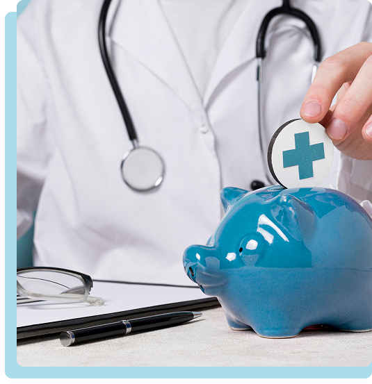 Health Economics Consultant