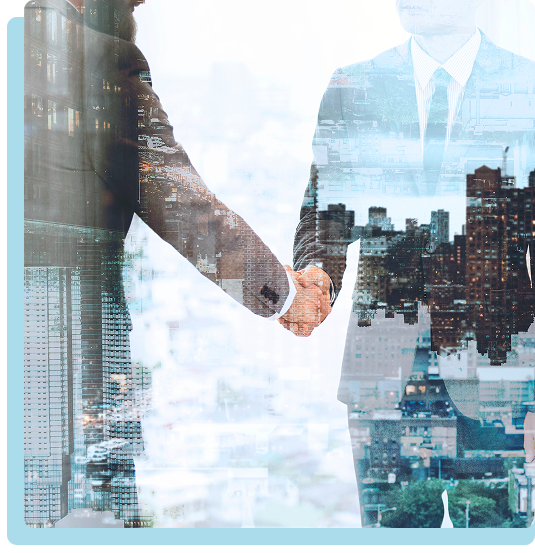market access consulting